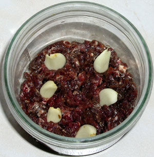 Dans le fond du bocal viande hach&eacute;e et gousses d'ail.