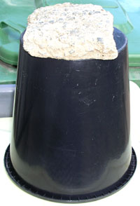 Un cache-pot avec une pierre couvrant le bocal.