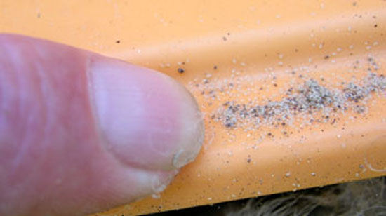 Index d&eacute;signe des oeufs de parasites