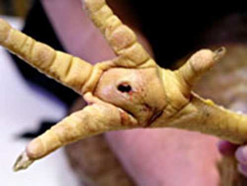 Sous la cro&ucirc;te un abc&egrave;s.