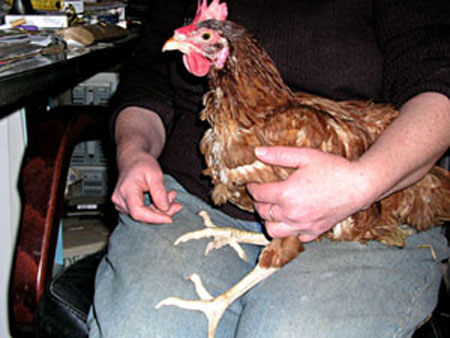 Pimousse pousse sur ses pattes.