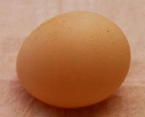 Oeuf normal.