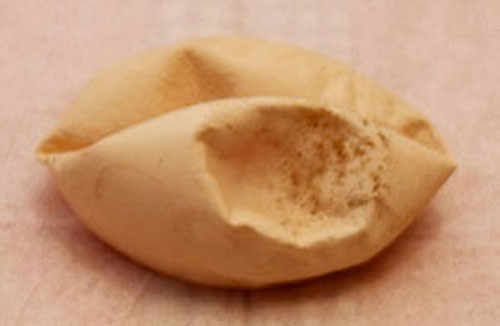 Oeuf tir&eacute; au vide.