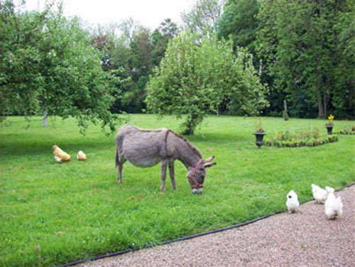L'annesse Louise dans son pr&eacute;.