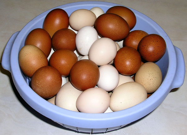 Une passoire avec des oeufs.