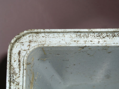 Une embo&icirc;ture infest&eacute;e.