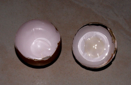 Deux coquilles de dates diff&eacute;rentes.