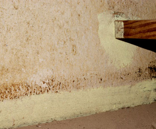 Traitement à la lotion antigale. Traitement à la lotion antigale.