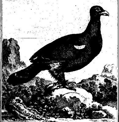 Le grand T&eacute;tras