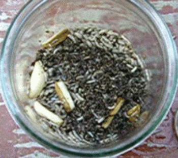 Animation d'asticots non incomod&eacute;s par l'ail